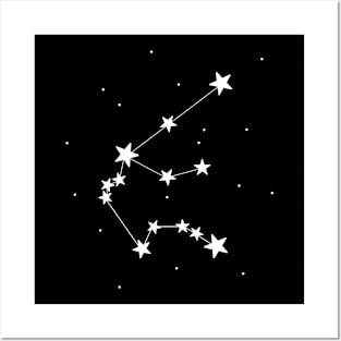 Aquarius constellation astrology star design Posters and Art